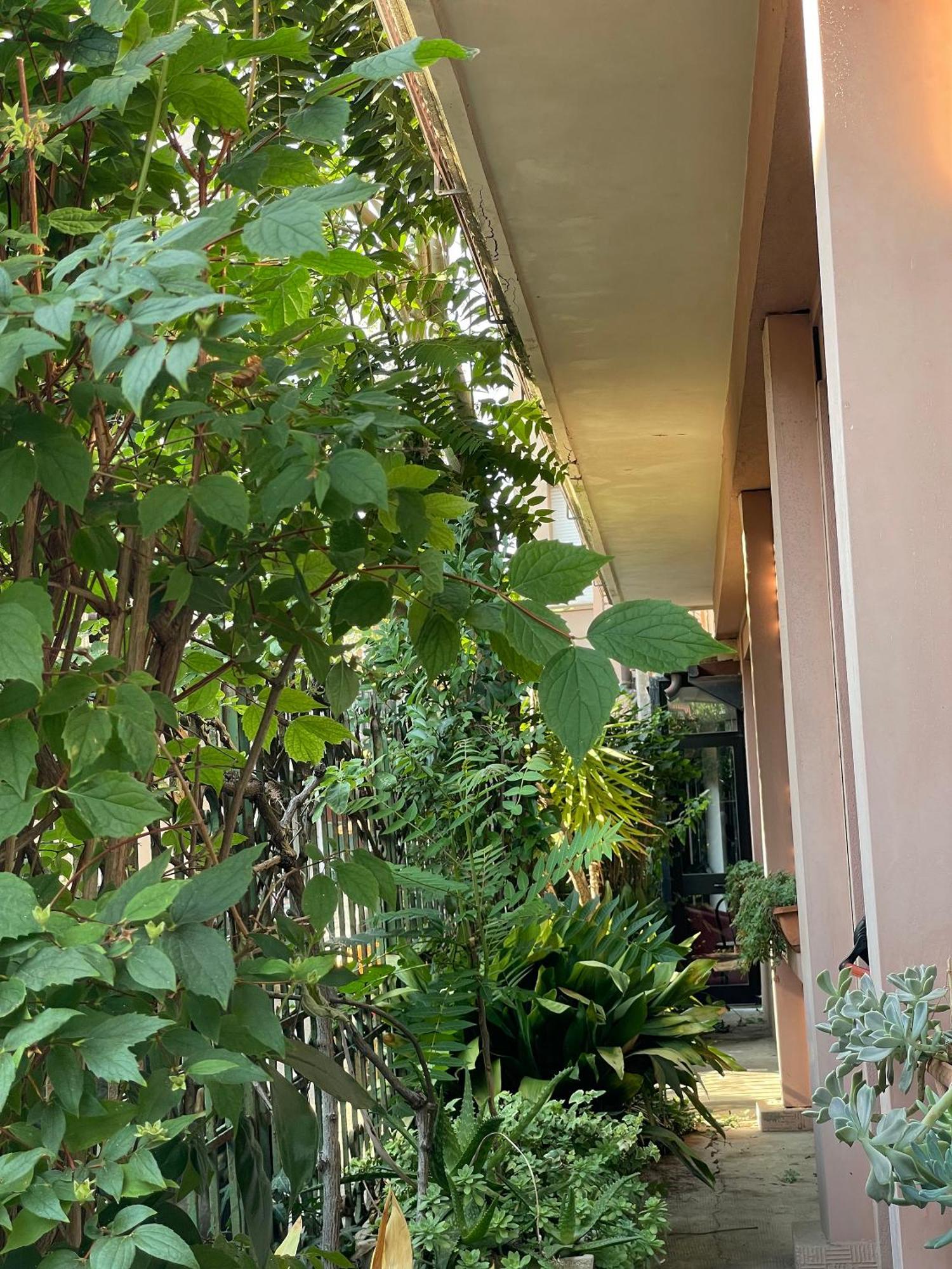 Hotel Berlino Κατόλικα Εξωτερικό φωτογραφία